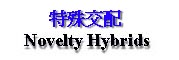 Hybrids-Novelty.JPG