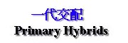 Hybrids-Primary.JPG