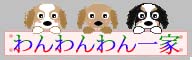 Dog-3