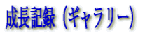 �����L�^�i�M�������[�j 