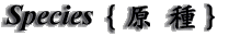 Species.gif