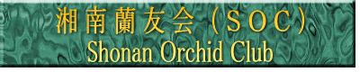 �� �� �� �F ��  �i �r �n �b �j
Shonan Orchid Club