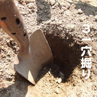 �c�̌�