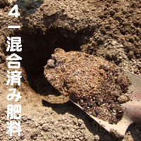 �엿1