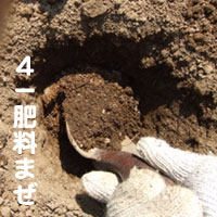 �엿2
