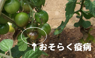 �a�C