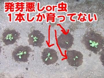 �_�C�R��