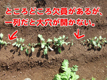�_�C�R��