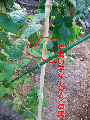 10�T�Ԍ�