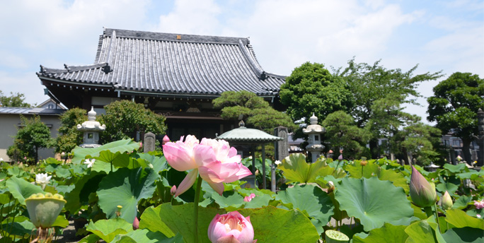 要法寺３