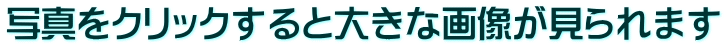 写真をクリックすると大きな画像が見られます