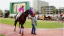 ���C�����G�[�X�E�p�h�b�N�U�i���q���F�R��Ə�j