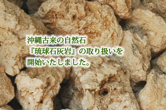 okinawa.jpg
