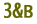 3&B