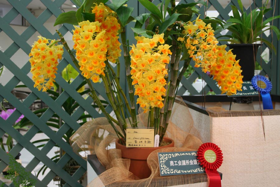 2009shonan-syokoukaigisyo-2n