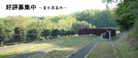 墓地