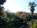 秋の山