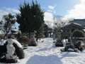 雪参道2