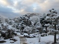 雪化粧