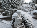 雪小僧