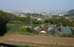 墓地からの風景