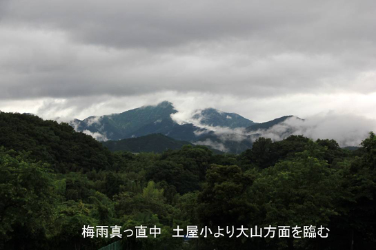 大山方面を臨む.JPG