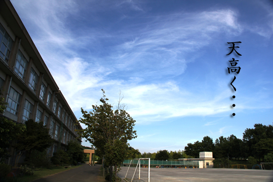 天高く.JPG