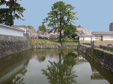 ����Ɣn�o��̈ʒu�֌W