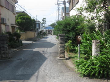 花の木