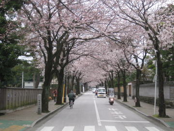 西海子小路