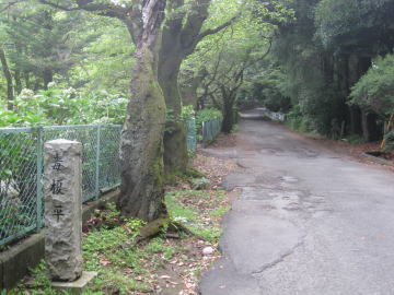 毒榎平