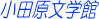 ���c�����w��