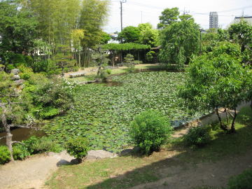 お庭の周り