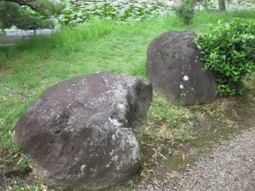 久野川の石