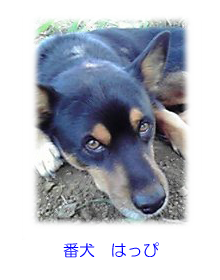 番犬　はっぴ"