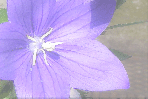 �X���C���[�W