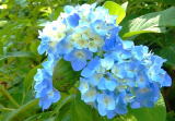 �{�ݎʐ^