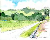 20120726tatesina