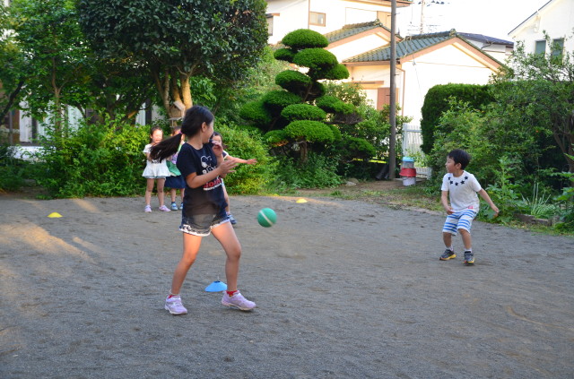 img0029.jpg