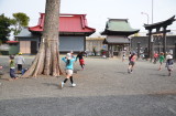 img0003.jpg