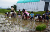 img0039.jpg