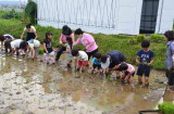 img0042.jpg