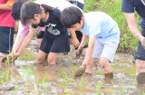 img0044.jpg