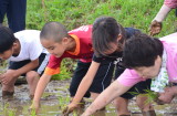 img0046.jpg