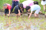 img0048.jpg