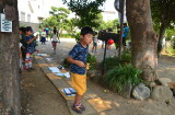 img0061.jpg
