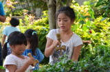 img0070.jpg