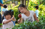 img0071.jpg