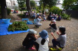 img0098.jpg