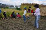 img0107.jpg